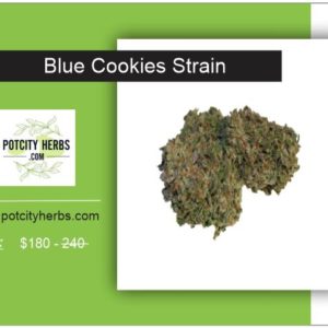 Blue Cookies Strain