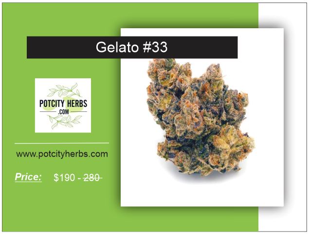 Gelato 33