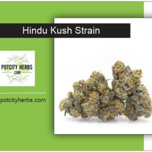 Hindu Kush Weed