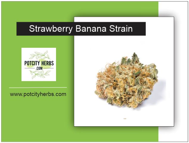 Strawberry Banana Strain