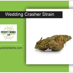 Wedding Crasher Strain